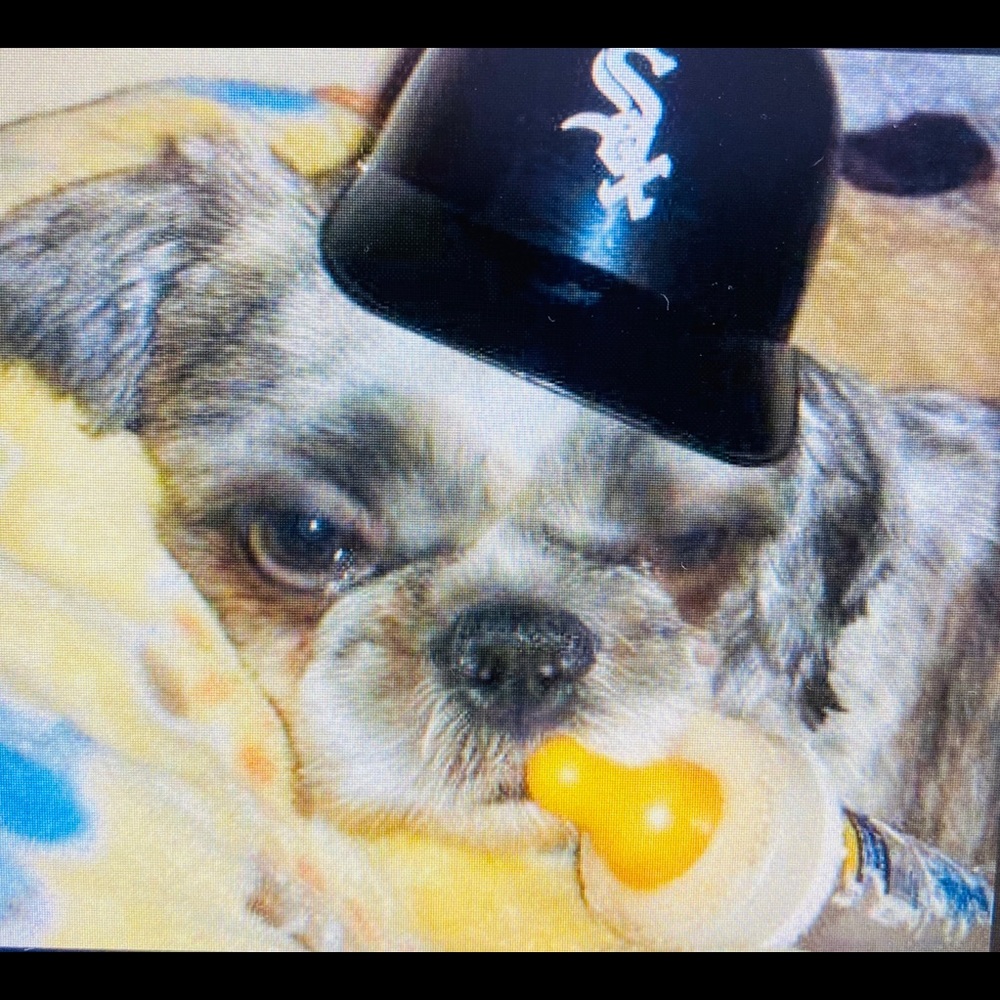 Meet your Posher, Yolanda